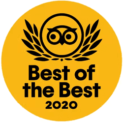 Trip Advisor award