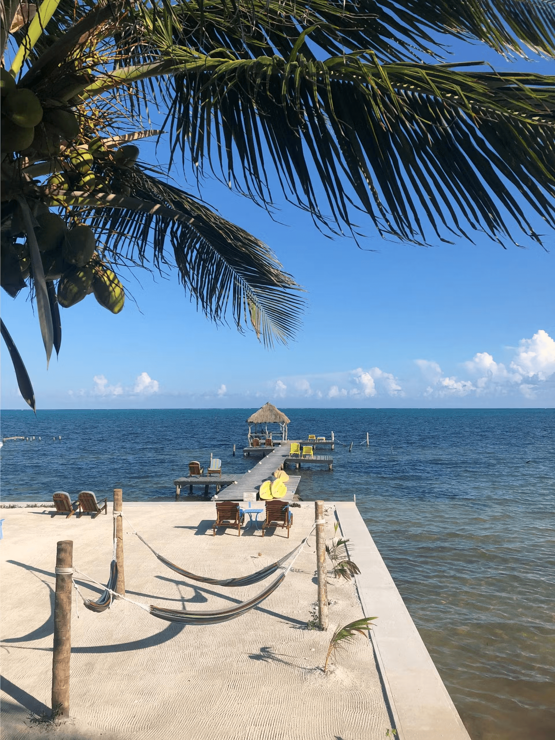 Sandy beach with palm trees, blue ocean waters, and bright blue skies