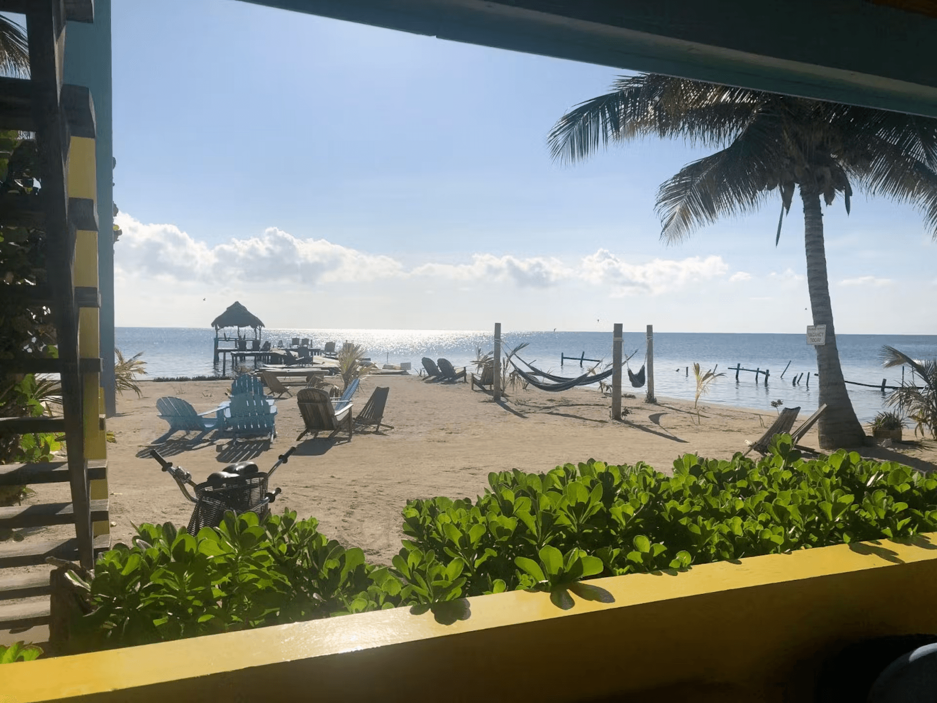 View from patio of ocean and sandy beach with palm trees, chairs, and hammocks
