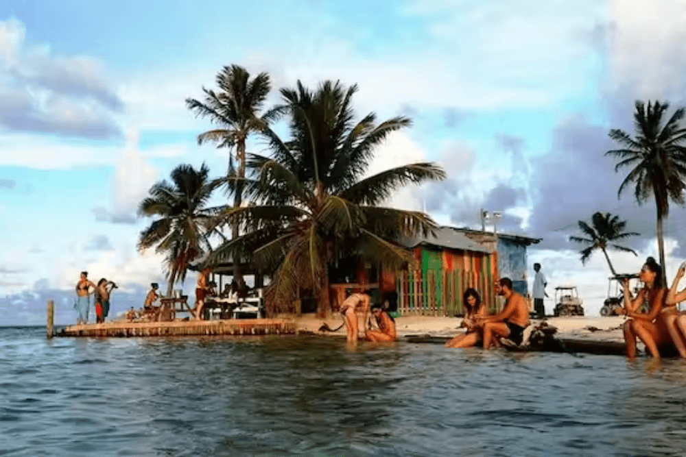 Palm Tree on sandy island with one story building with people sitting on shore
