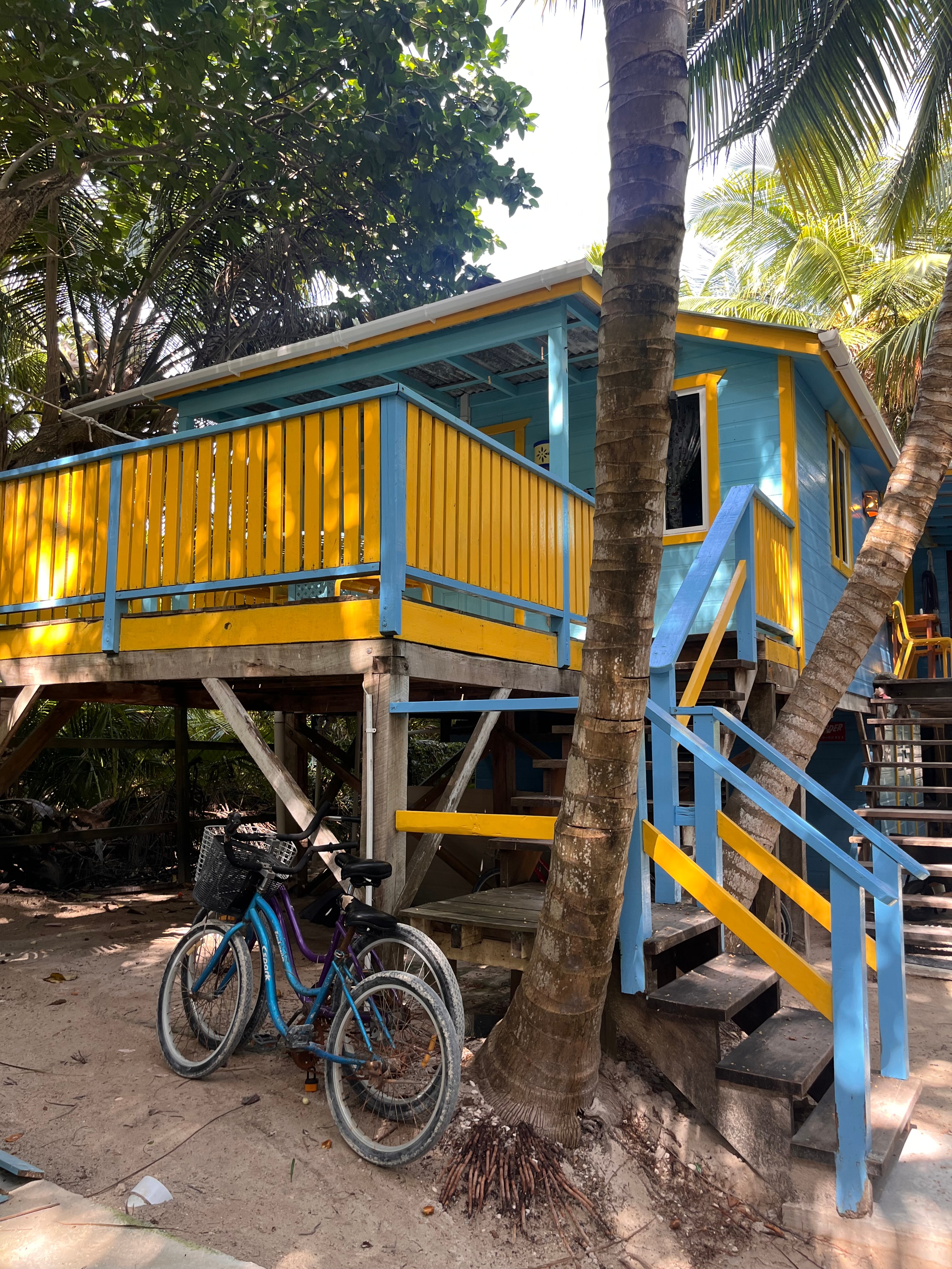 A brightly colored blue and yellow wooden house on stilts surrounded by palm trees, with bicycles parked nearby.