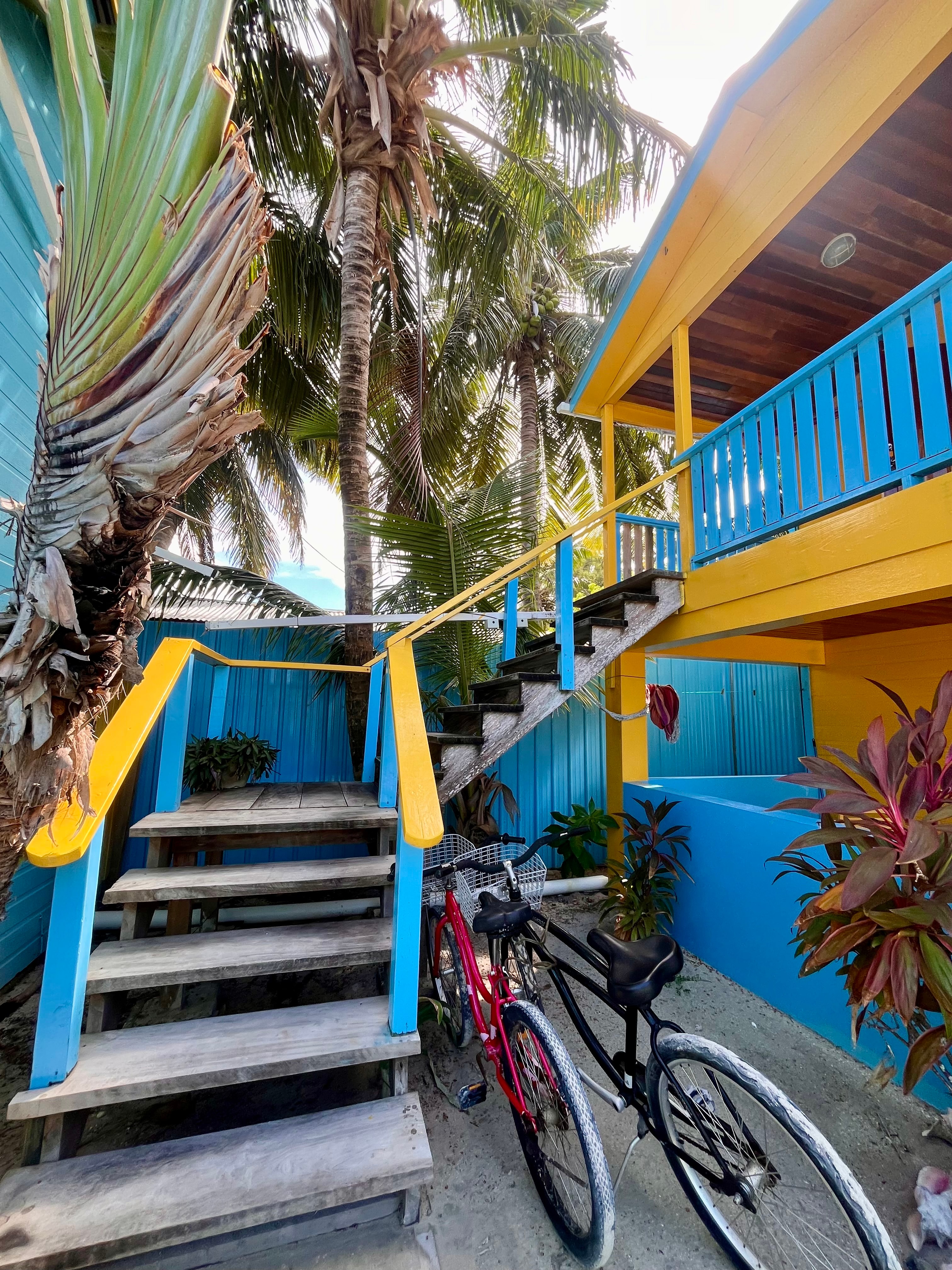 A colorful staircase with yellow railings leads up to a house surrounded by palm trees and two parked bicycles.