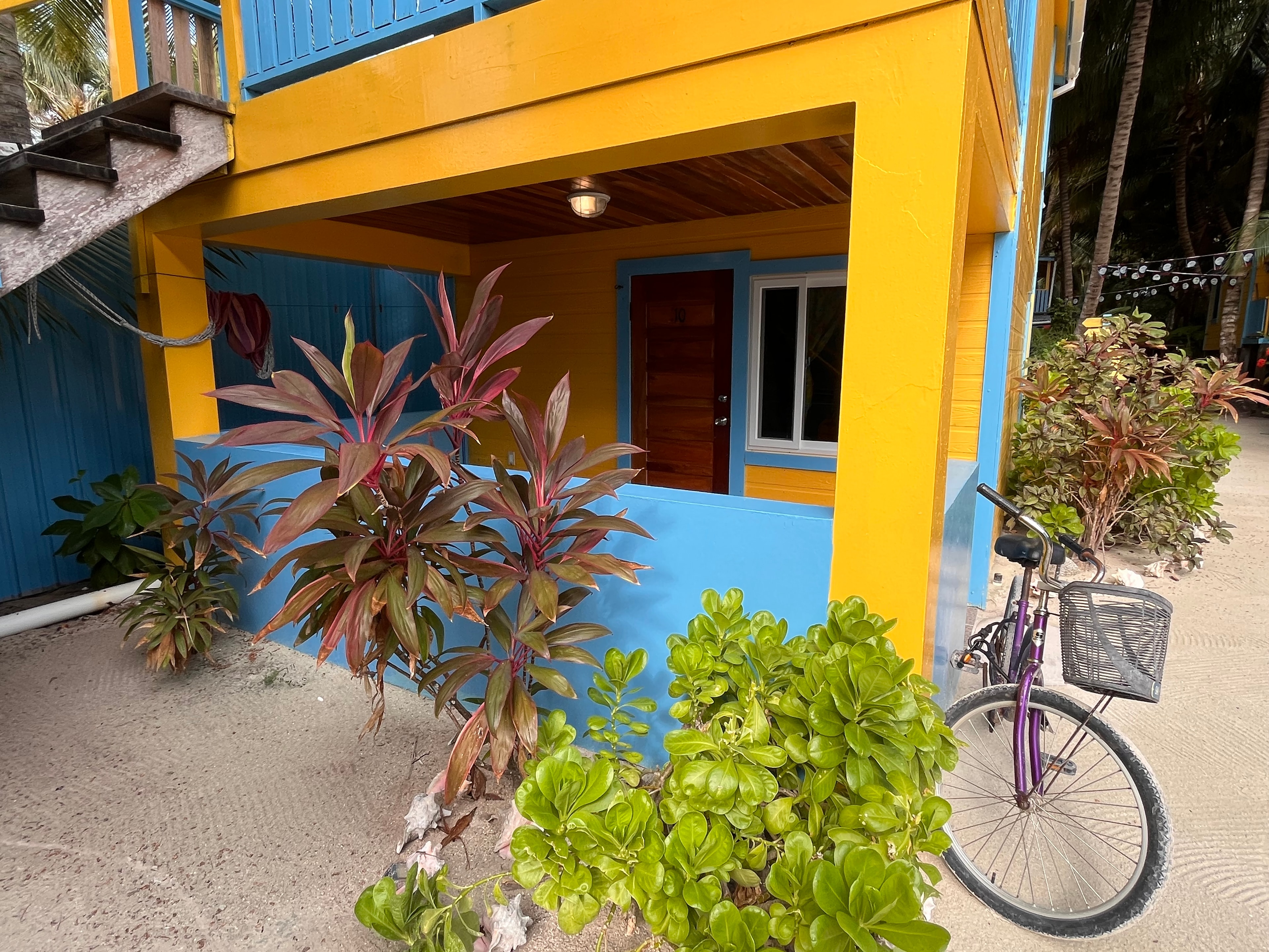 Vibrantly painted building entrance with tropical plants and a bicycle nearby.